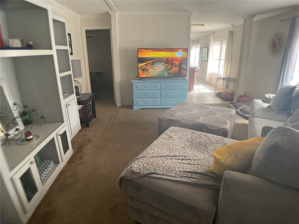 473 Hobbs Drive Venus FL 33960 C7514153 image43