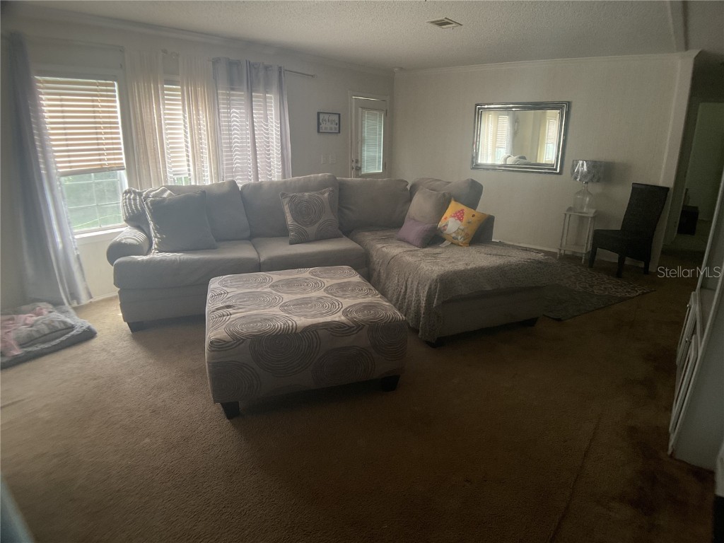 473 Hobbs Drive Venus FL 33960 C7514153 image44