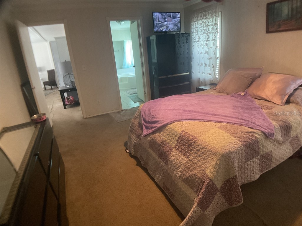 473 Hobbs Drive Venus FL 33960 C7514153 image55