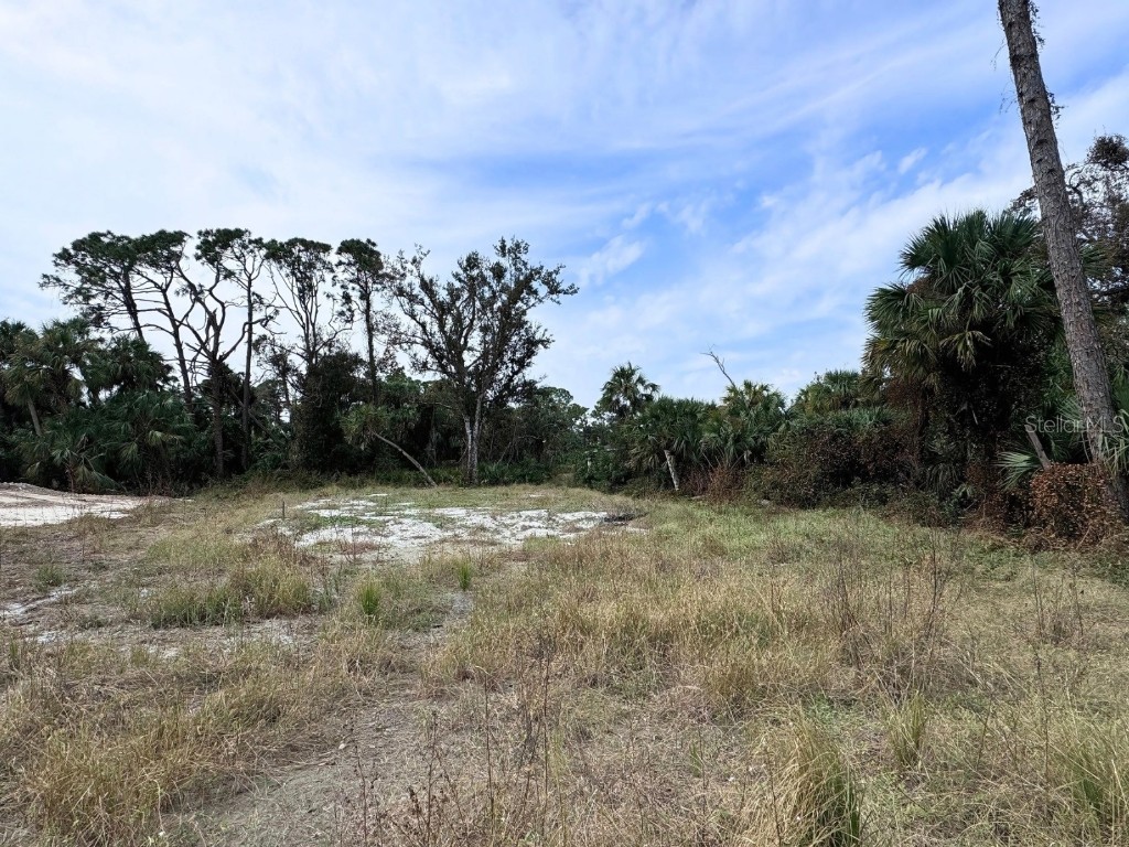 473 Starborn Street Port Charlotte FL 33954 TB8307954 image1