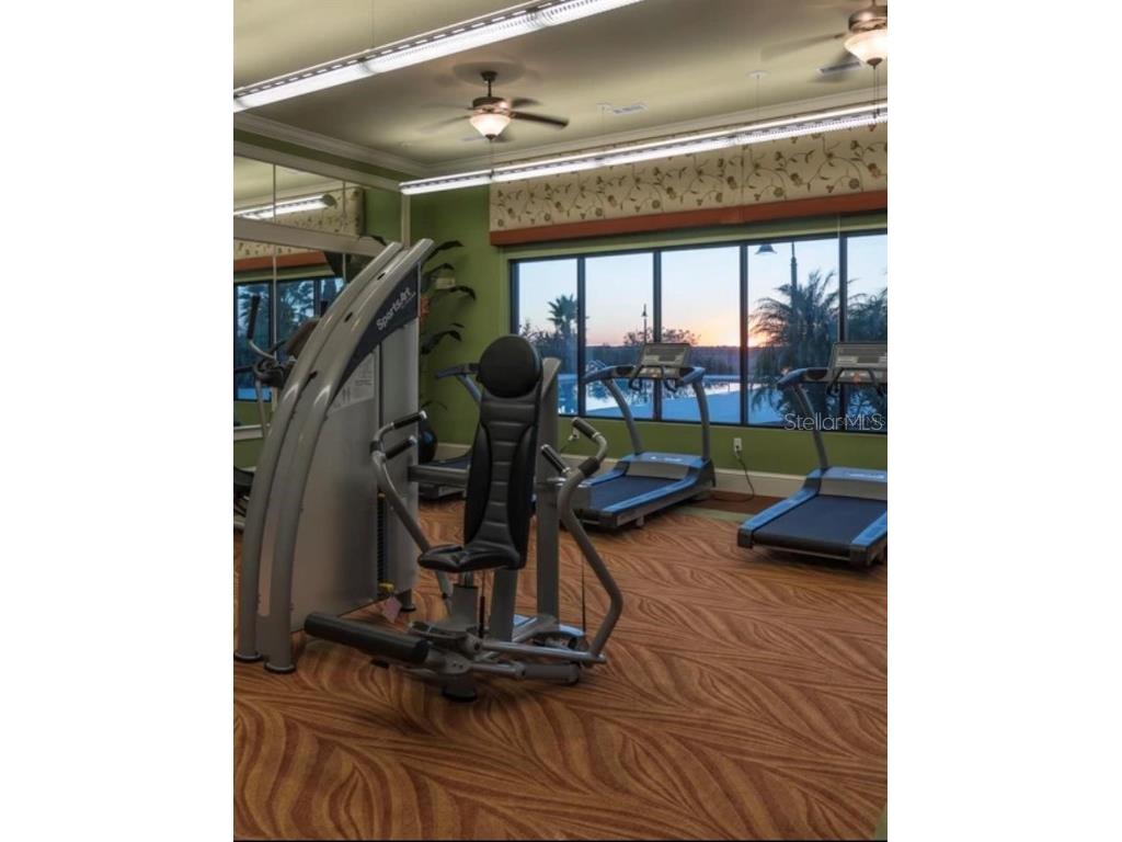 473 Waterfern Trail Drive Auburndale FL 33823 S5124019 image10