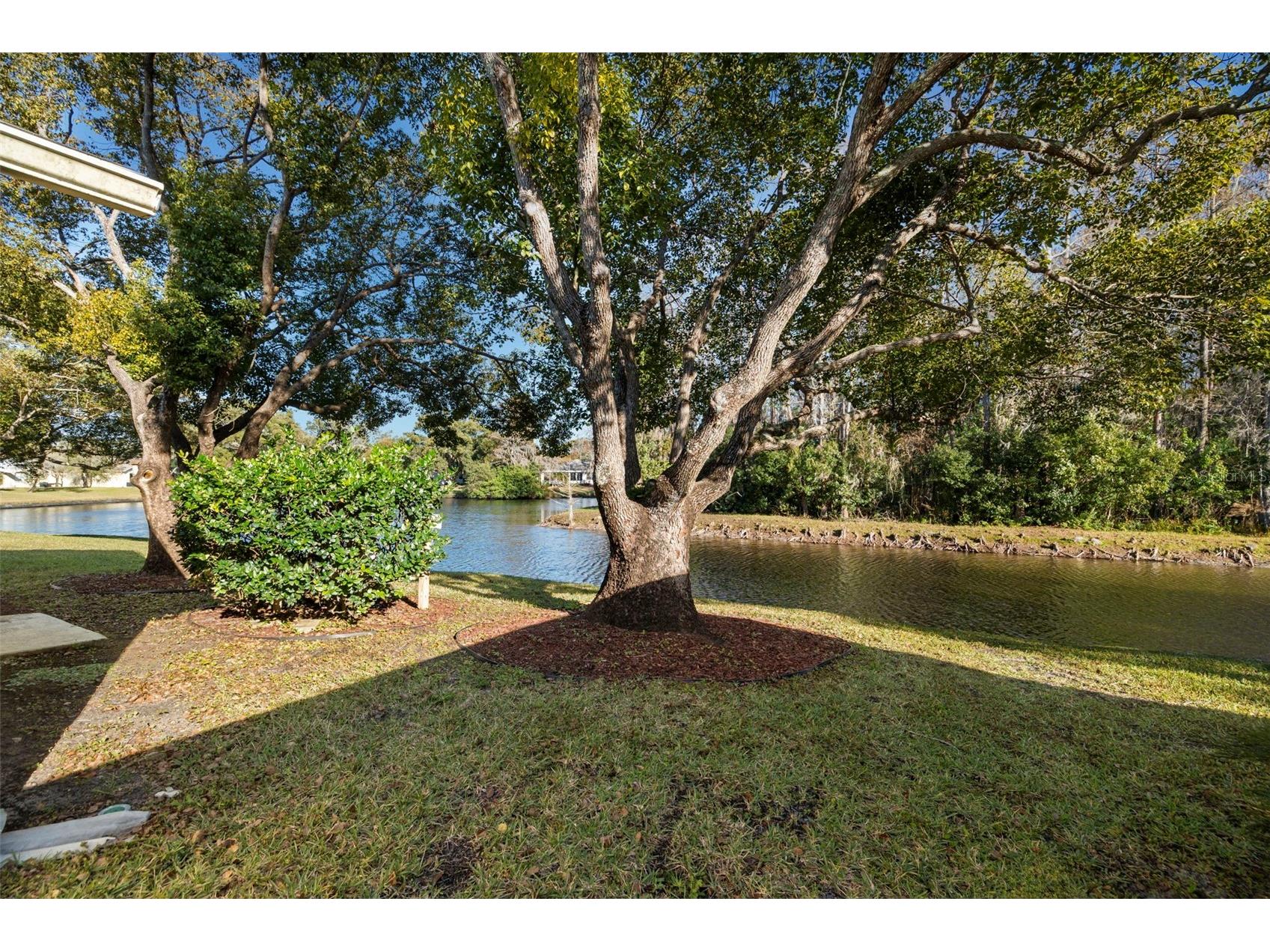 4730 Sheffield Drive New Port Richey FL 34655 TB8474899 image30