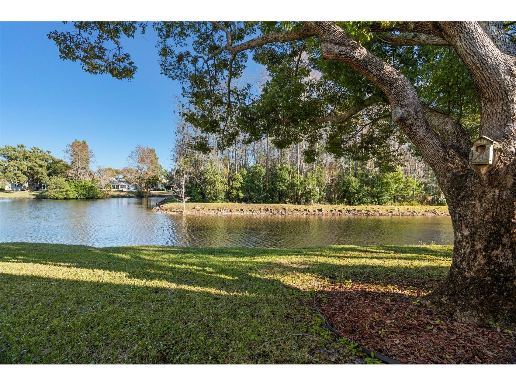 4730 Sheffield Drive New Port Richey FL 34655 TB8474899 image31