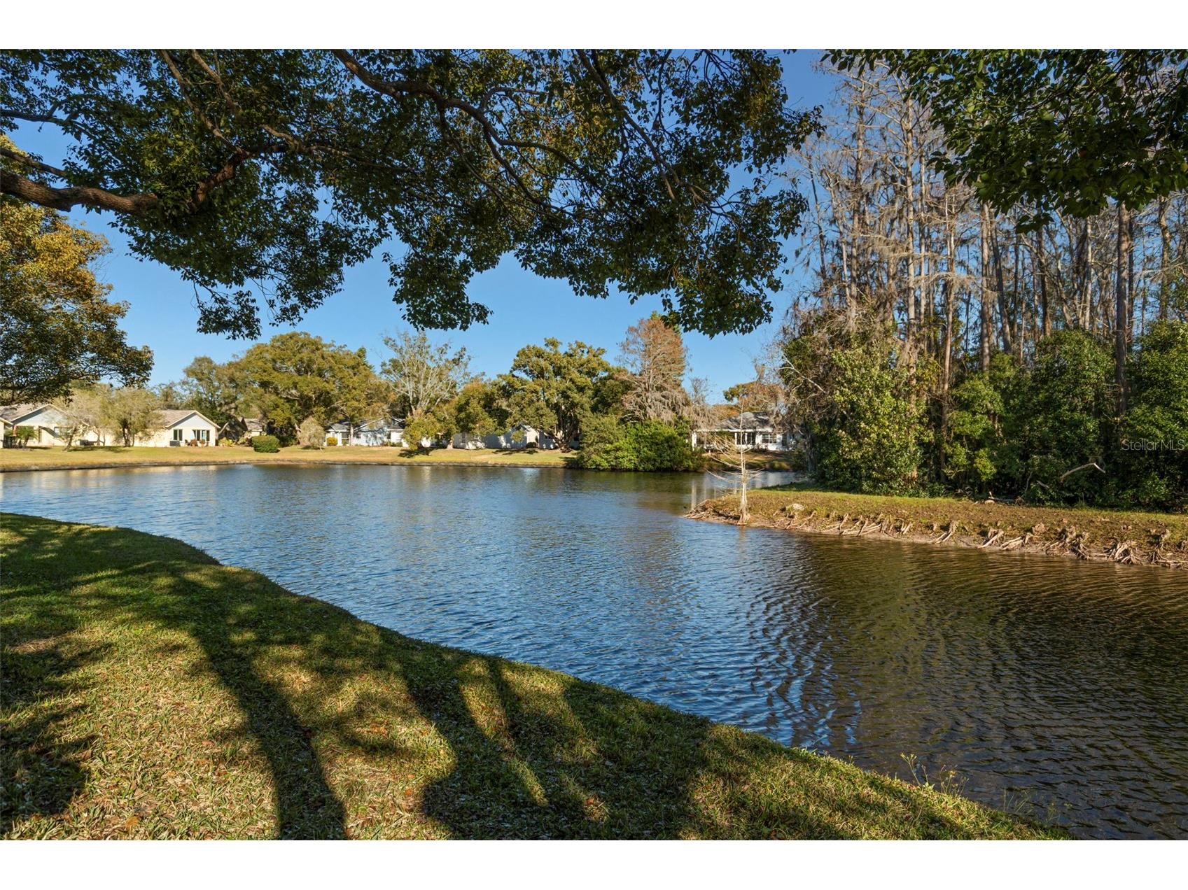 4730 Sheffield Drive New Port Richey FL 34655 TB8474899 image32
