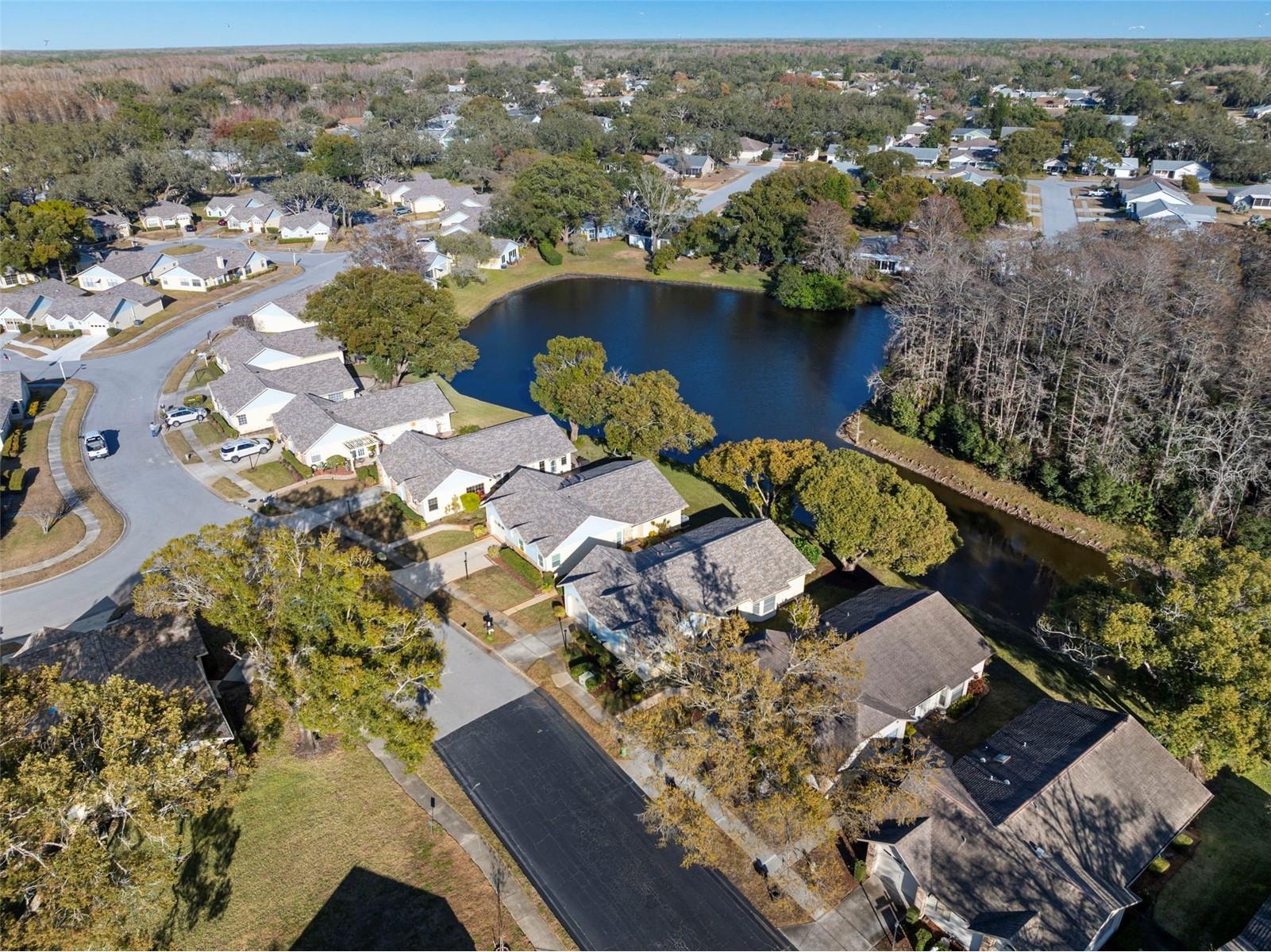 4730 Sheffield Drive New Port Richey FL 34655 TB8474899 image34