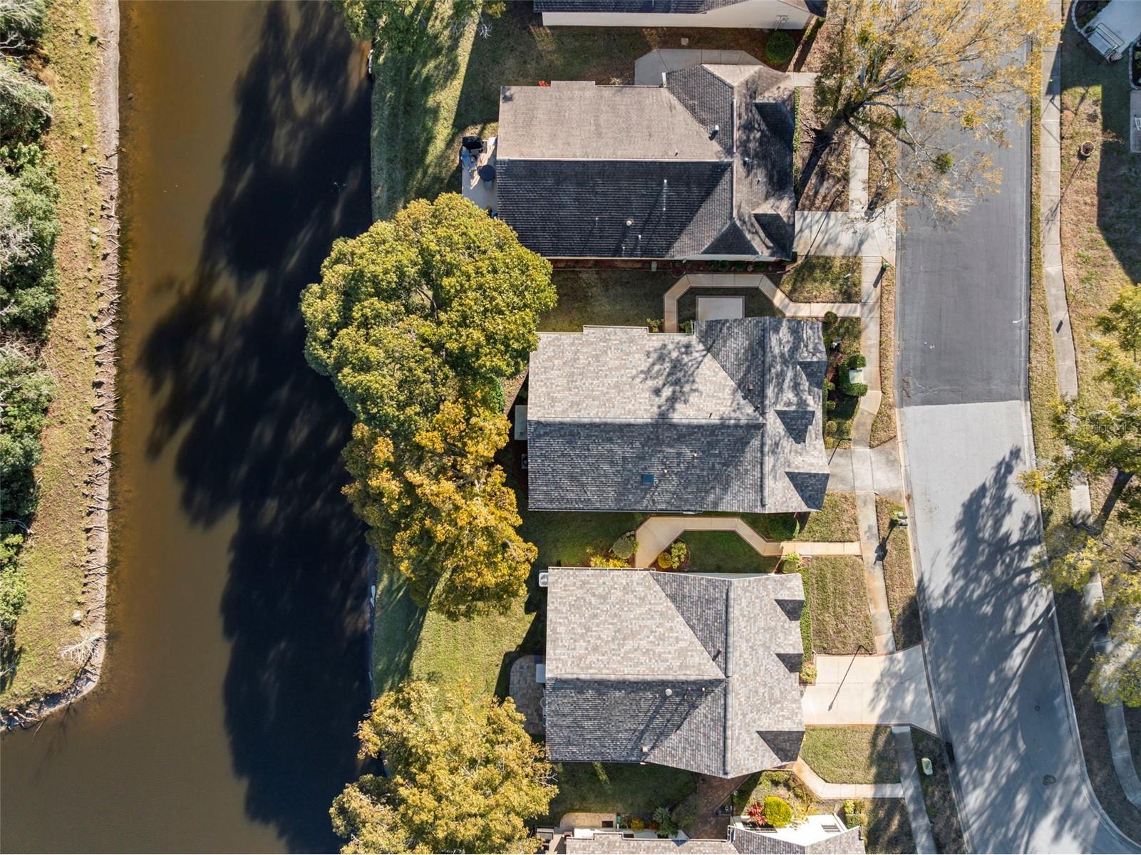 4730 Sheffield Drive New Port Richey FL 34655 TB8474899 image36