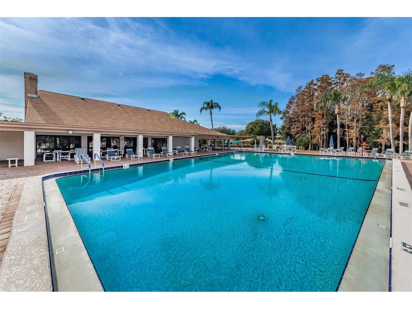 4730 Sheffield Drive New Port Richey FL 34655 TB8474899 image39
