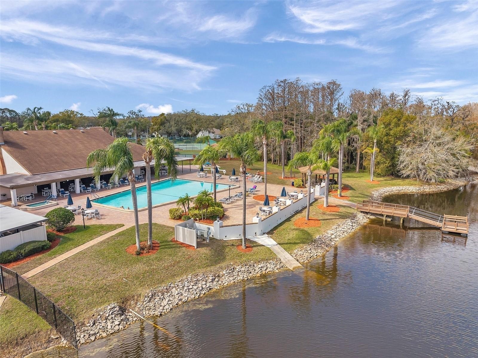 4730 Sheffield Drive New Port Richey FL 34655 TB8474899 image40