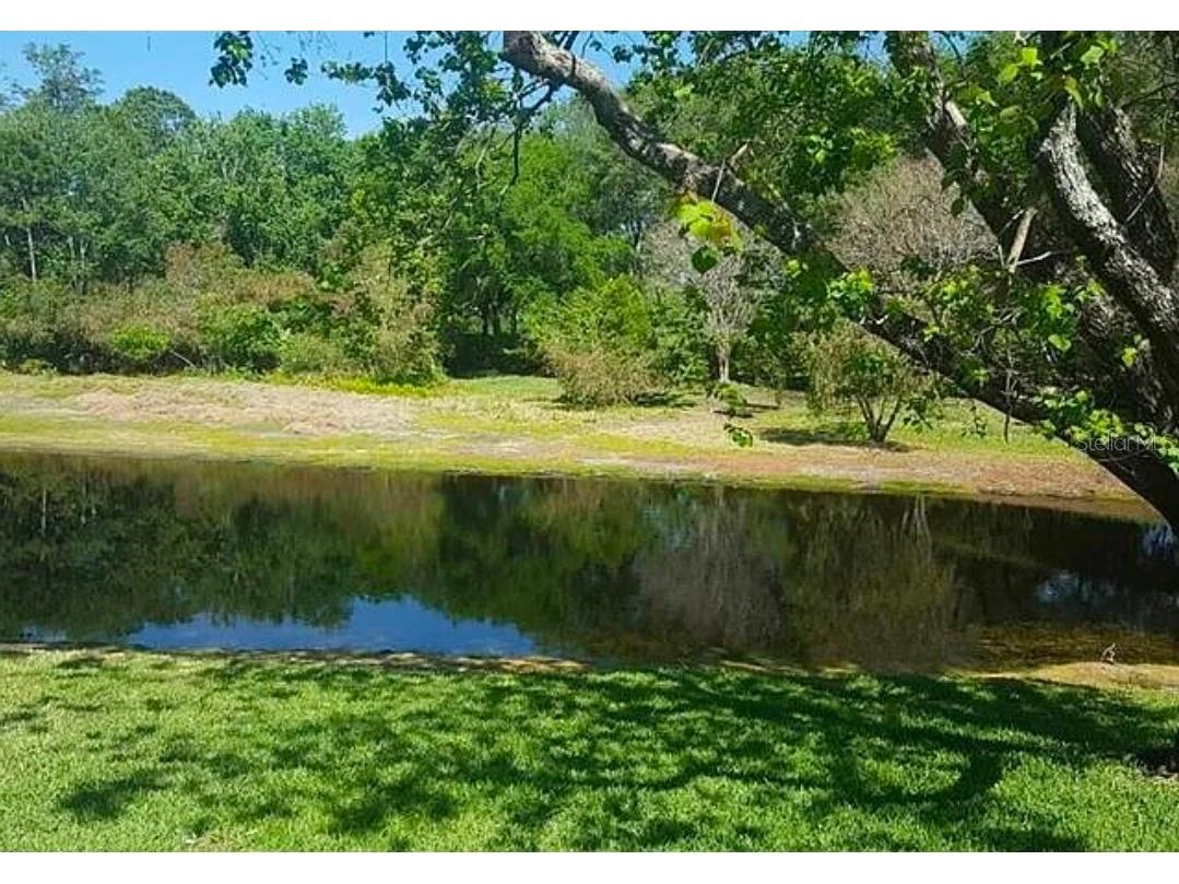 4730 Wrentham Place Palm Harbor FL 34685 TB8505112 image5