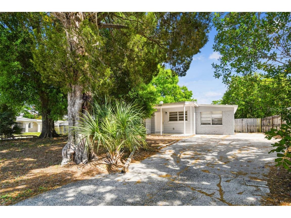 4731 Murray Hill Drive Tampa FL 33615 T3507277 image1