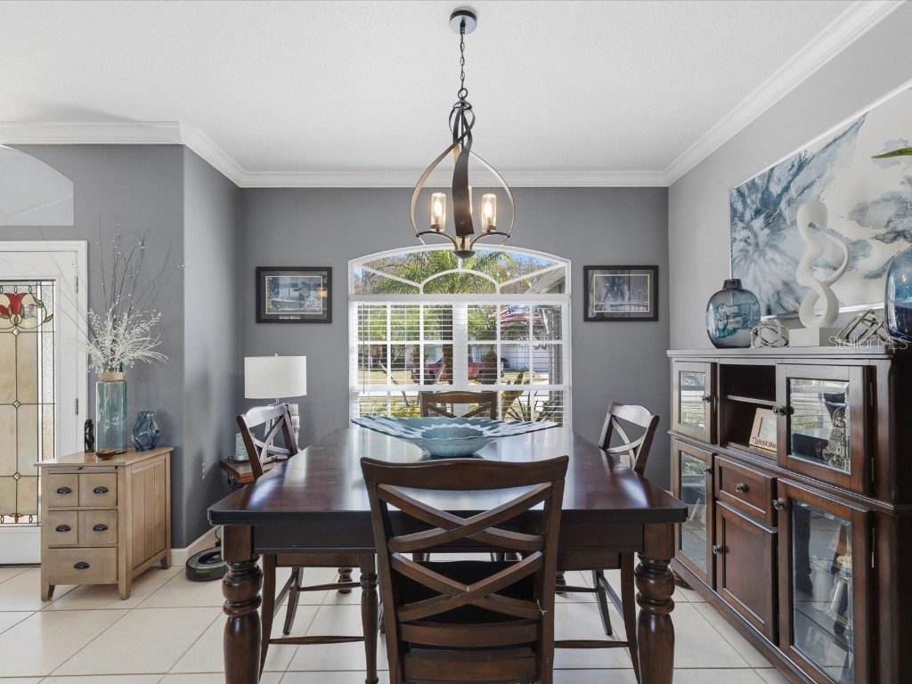 4731 Spring Side Drive New Port Richey FL 34653 W7881468 image11