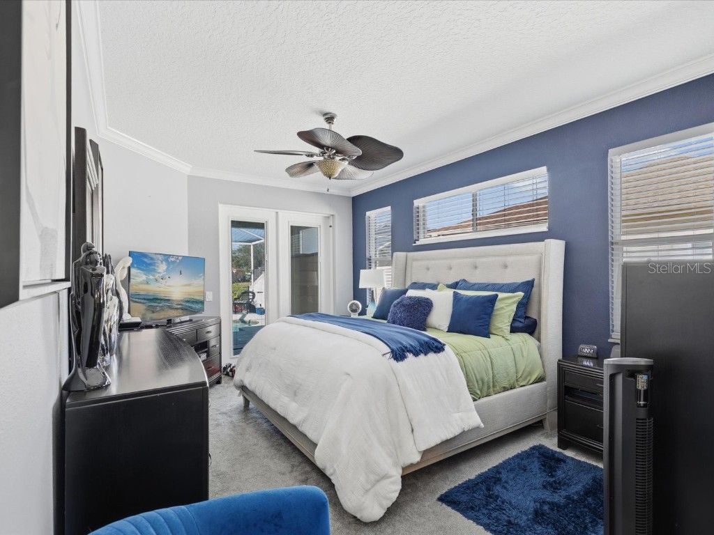 4731 Spring Side Drive New Port Richey FL 34653 W7881468 image13