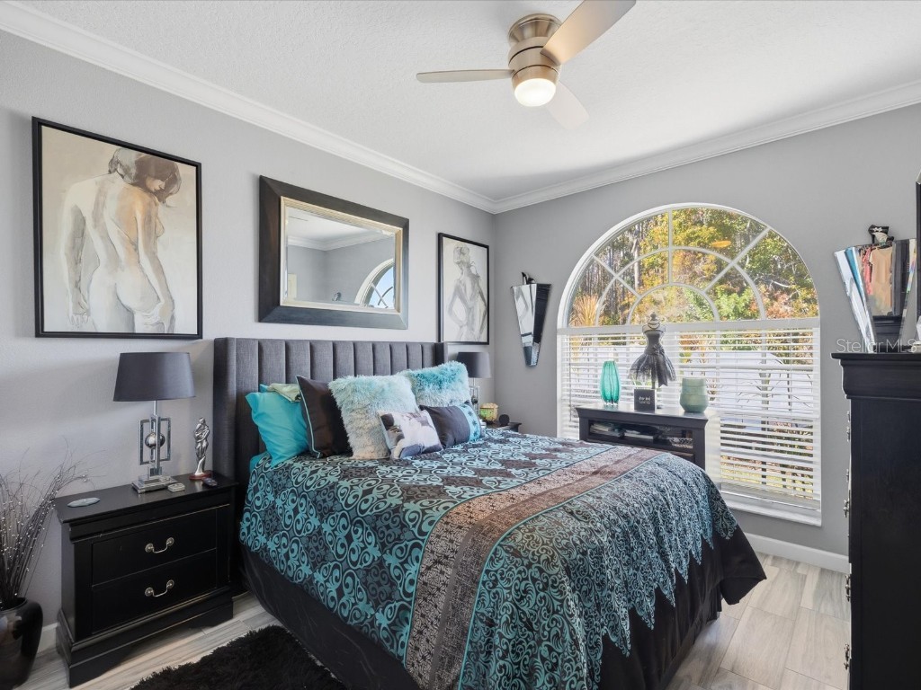 4731 Spring Side Drive New Port Richey FL 34653 W7881468 image29