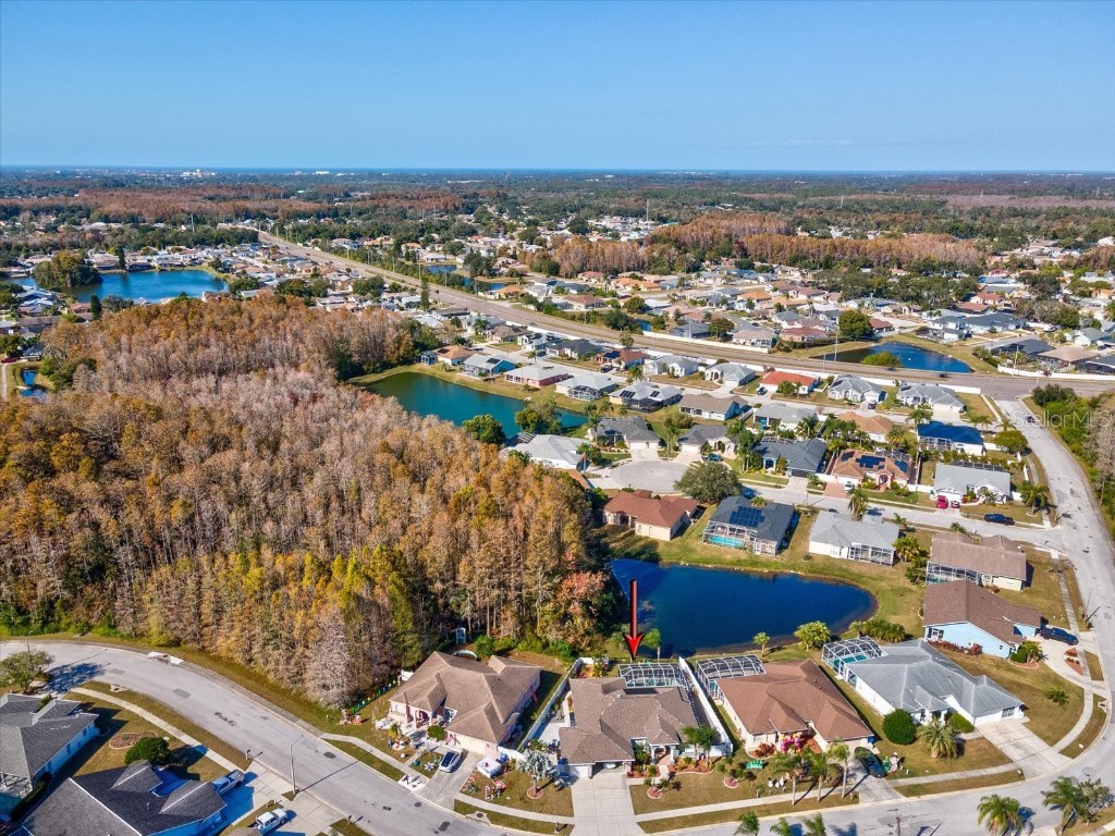 4731 Spring Side Drive New Port Richey FL 34653 W7881468 image57