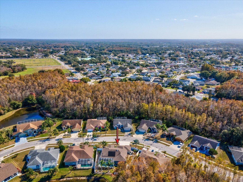 4731 Spring Side Drive New Port Richey FL 34653 W7881468 image59