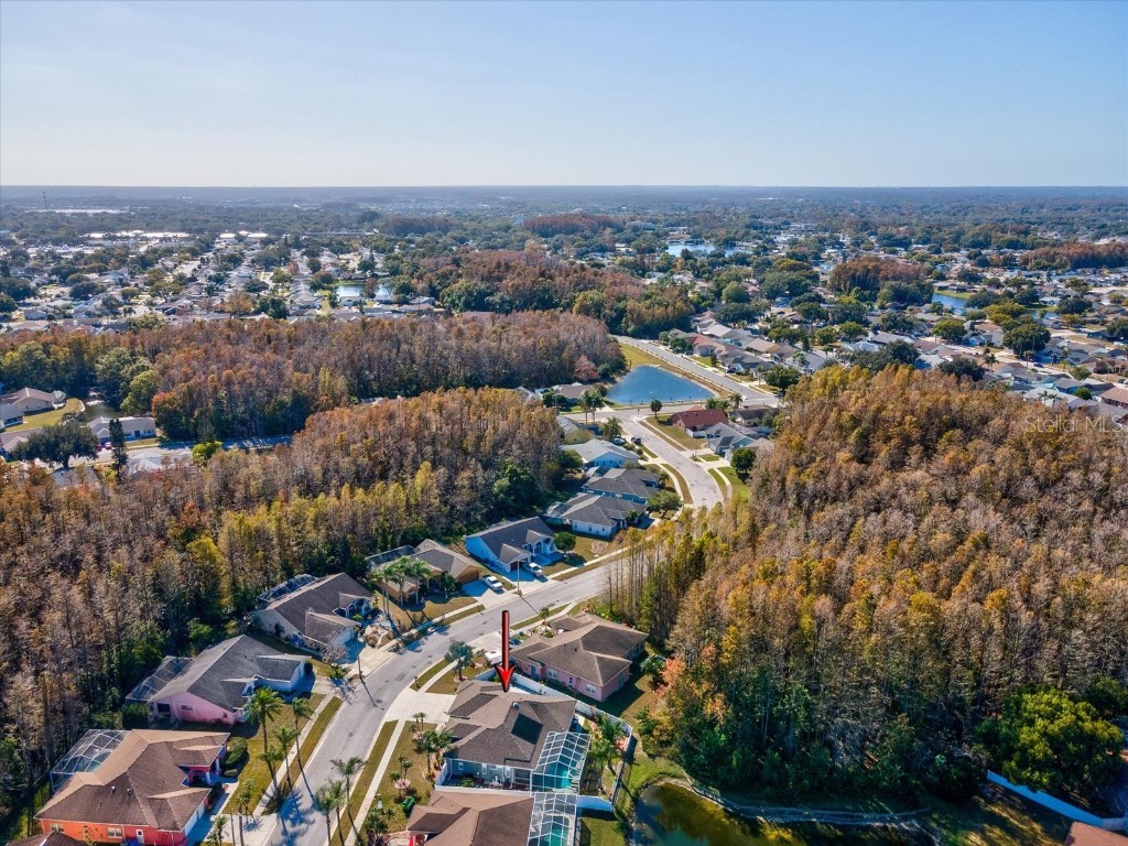 4731 Spring Side Drive New Port Richey FL 34653 W7881468 image60