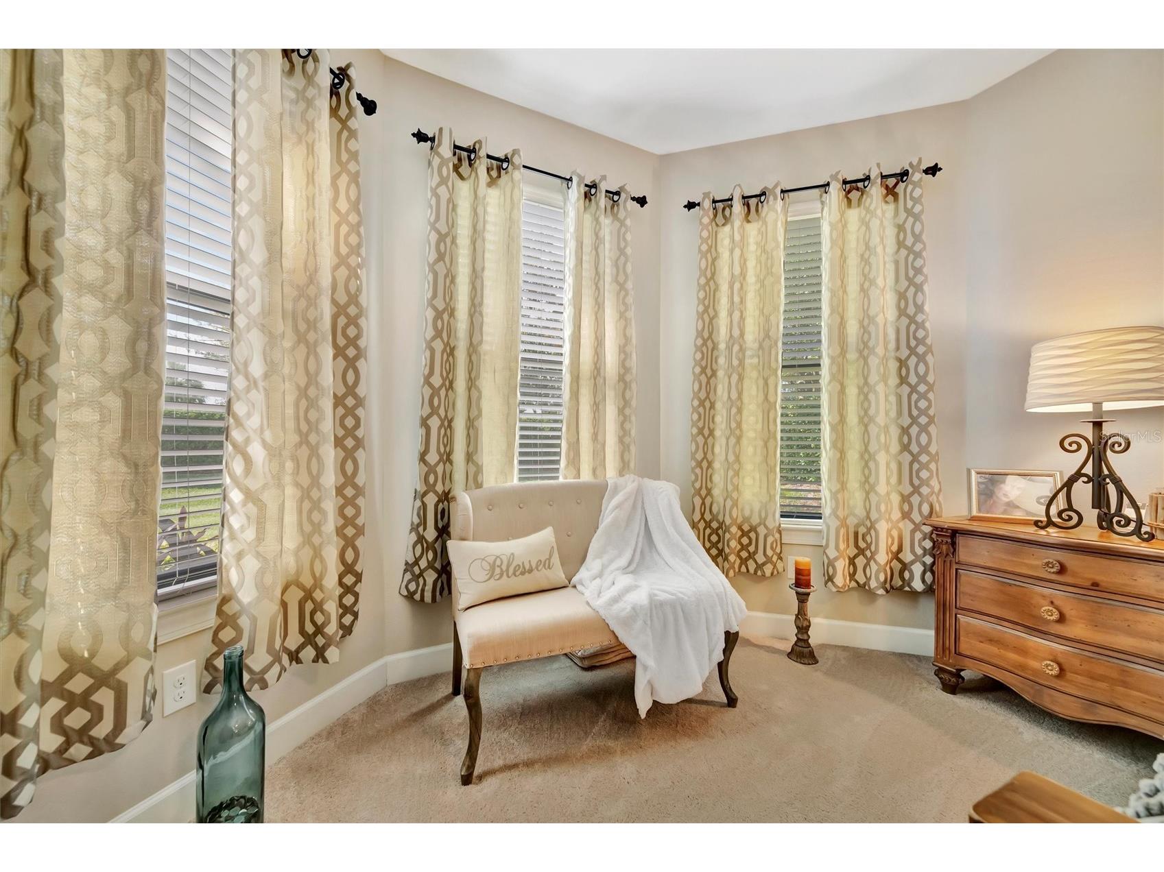 4732 Alexandria Court Palmetto FL 34221 TB8510634 image39