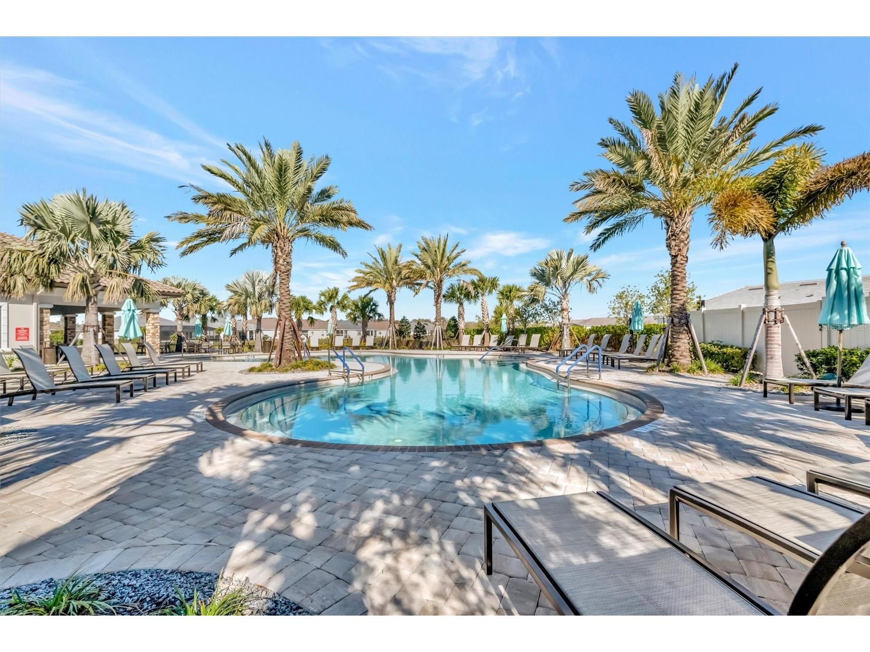 4732 Alexandria Court Palmetto FL 34221 TB8510634 image77