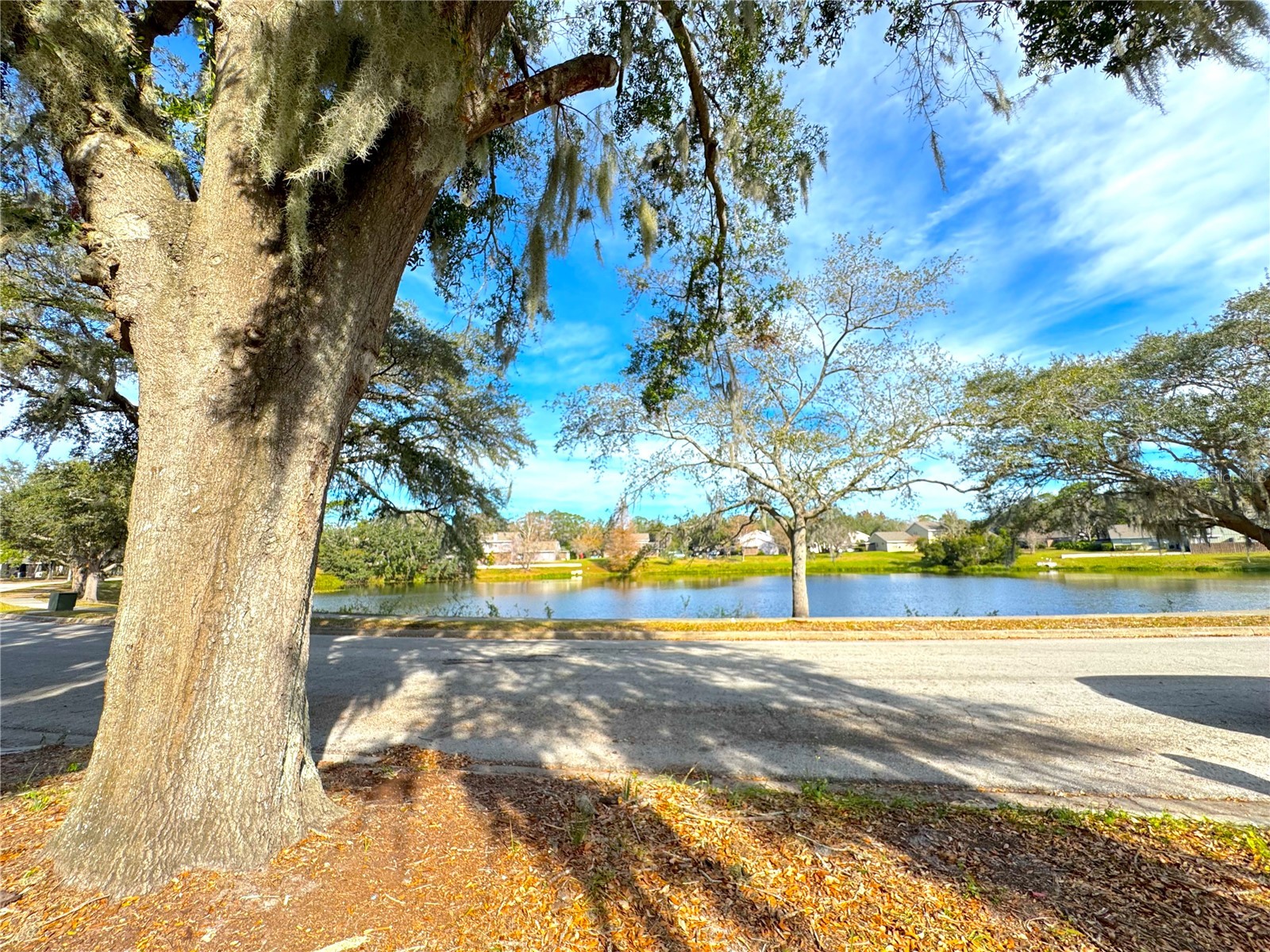 4732 Lighthouse Circle Orlando FL 32808 - KASEY LAKE O6380556 image2