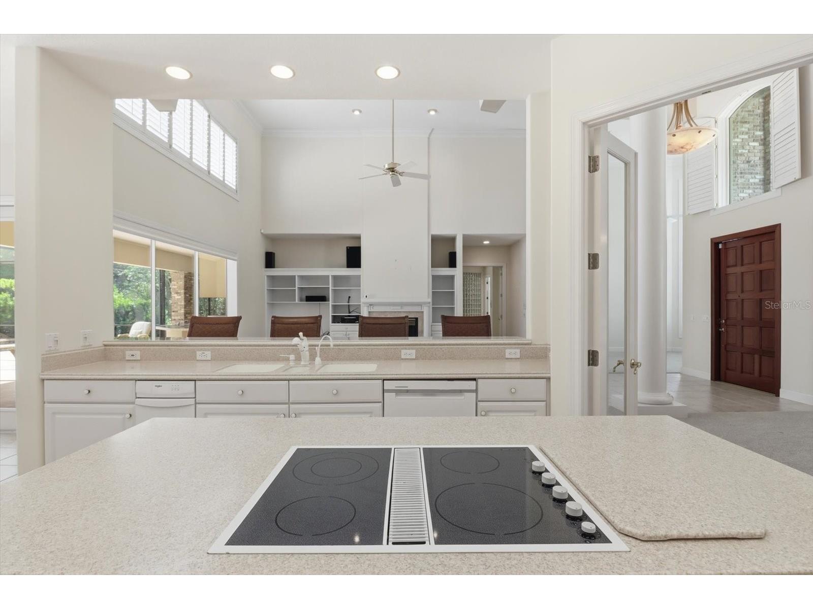 4732 N Pine Valley Loop Lecanto FL 34461 OM724362 image23