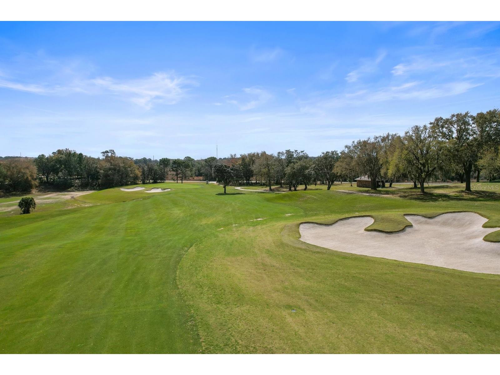 4732 N Pine Valley Loop Lecanto FL 34461 OM724362 image67