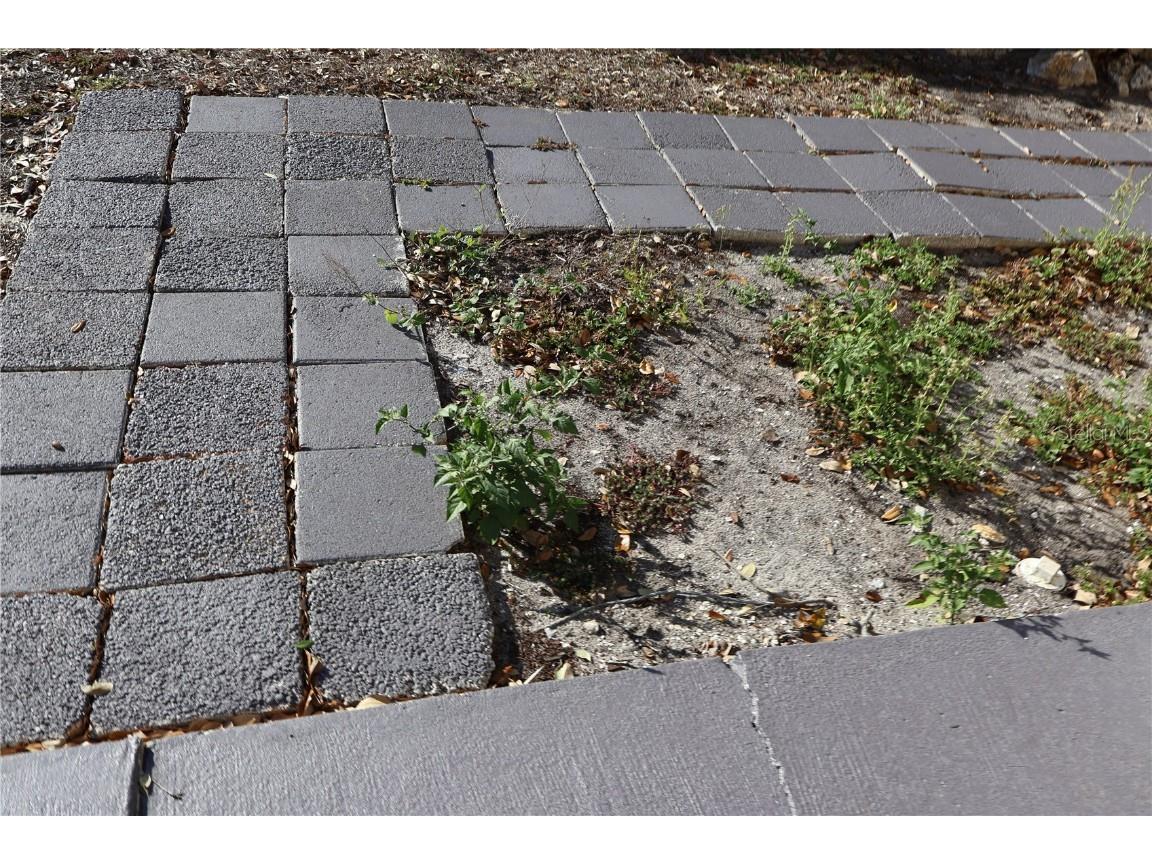 4732 W Lawn Avenue Tampa FL 33611 TB8434839 image28