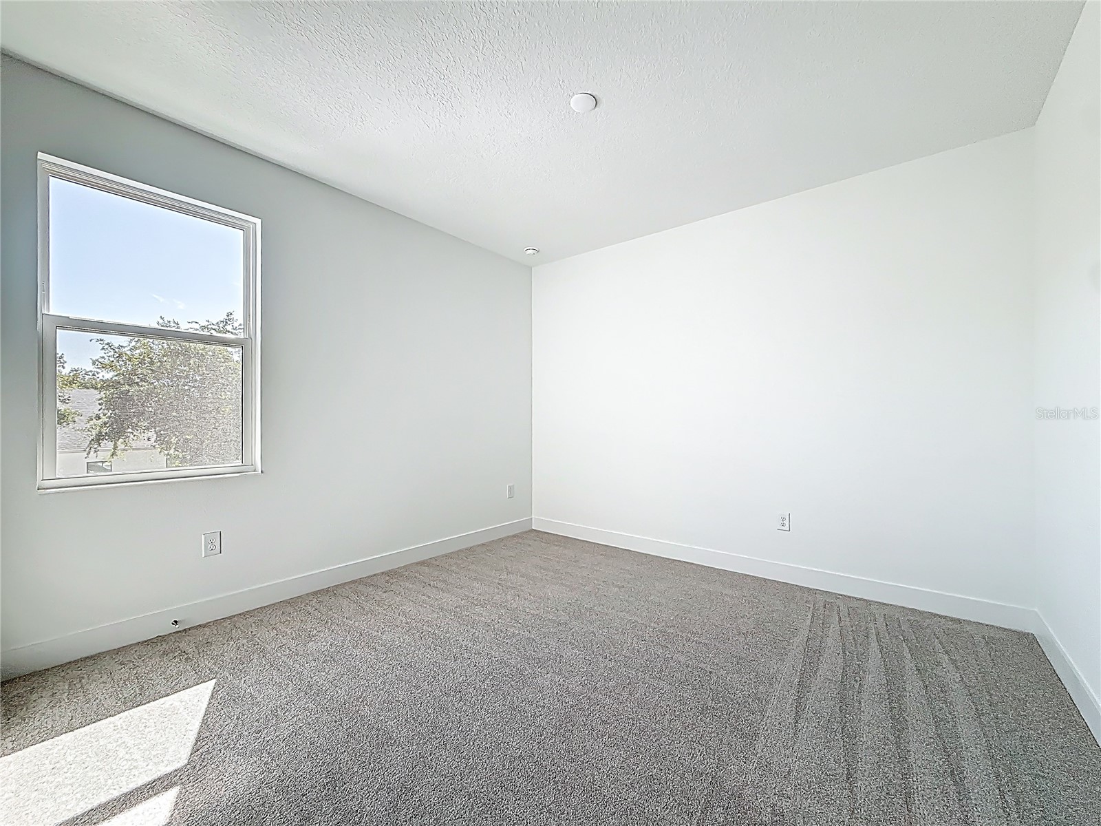4732 W Wallcraft Avenue Tampa FL 33611 TB8466567 image41