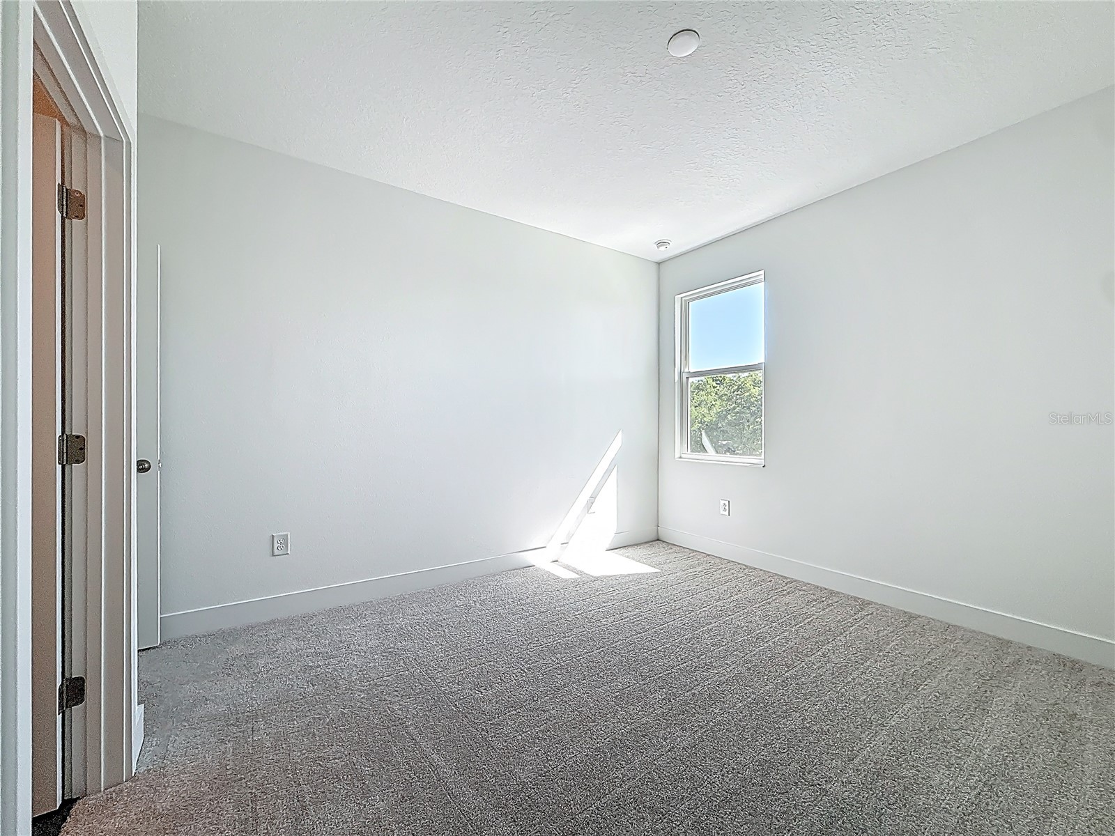 4732 W Wallcraft Avenue Tampa FL 33611 TB8466567 image50