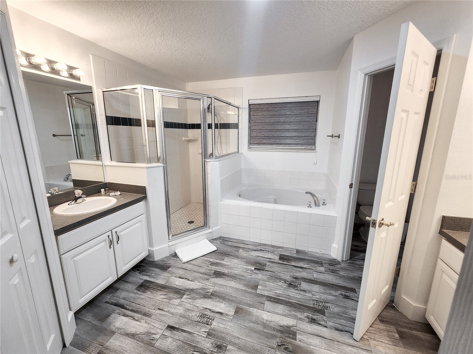 4733 Cumbriam Lakes Drive Kissimmee FL 34746 S5145397 image11