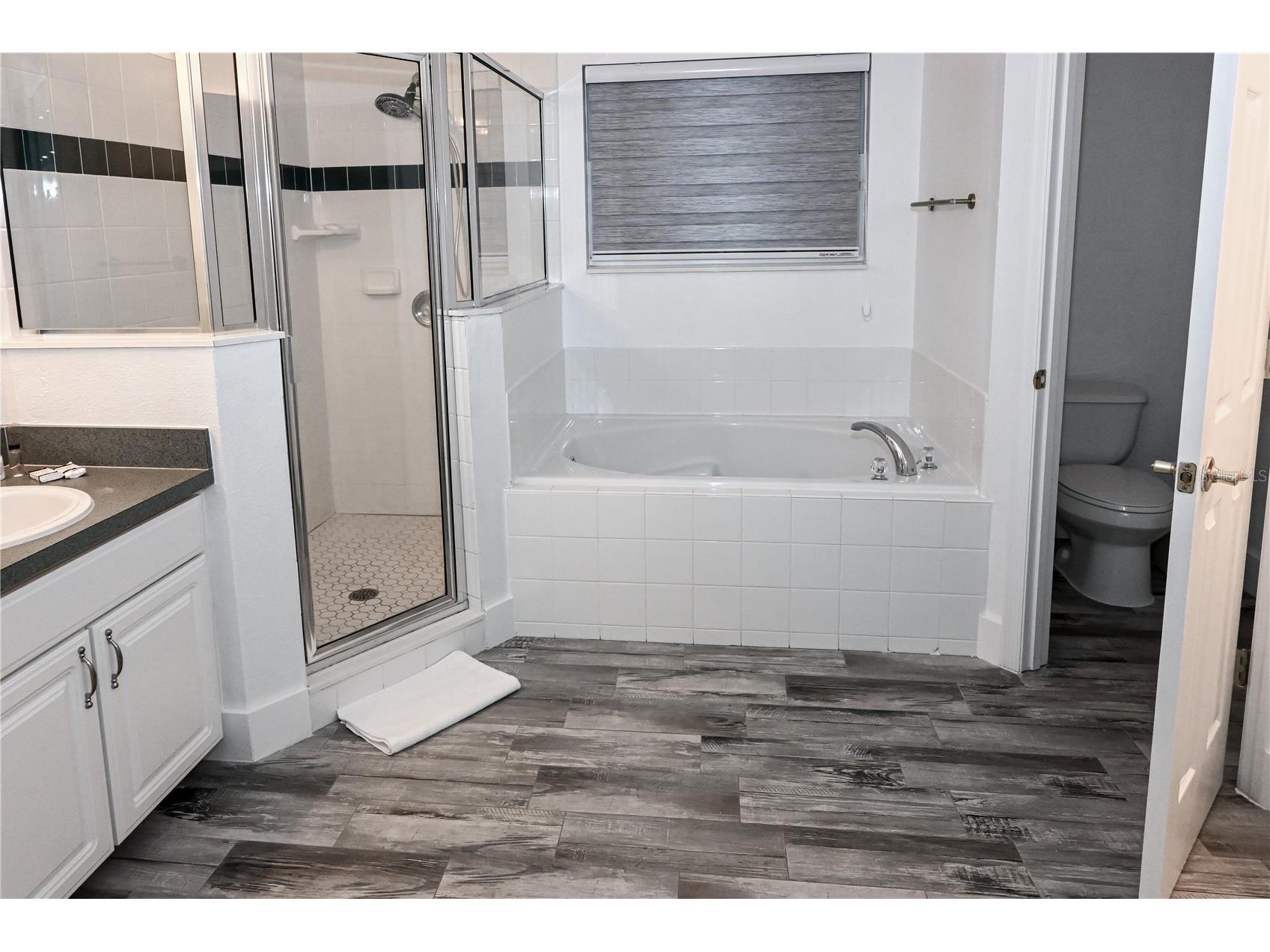 4733 Cumbriam Lakes Drive Kissimmee FL 34746 S5145397 image12