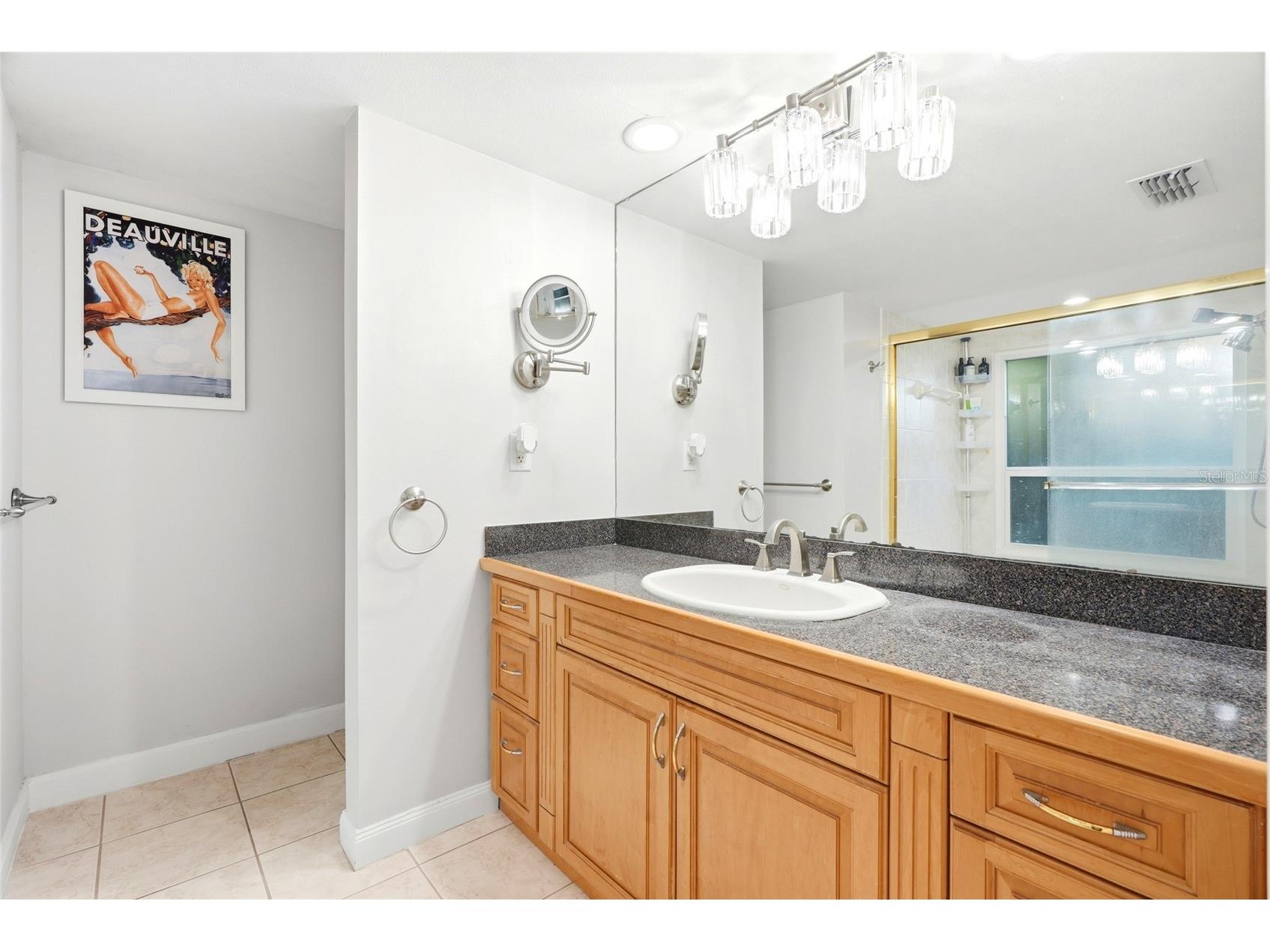 4733 Lake Valencia Boulevard W Palm Harbor FL 34684 TB8525852 image20