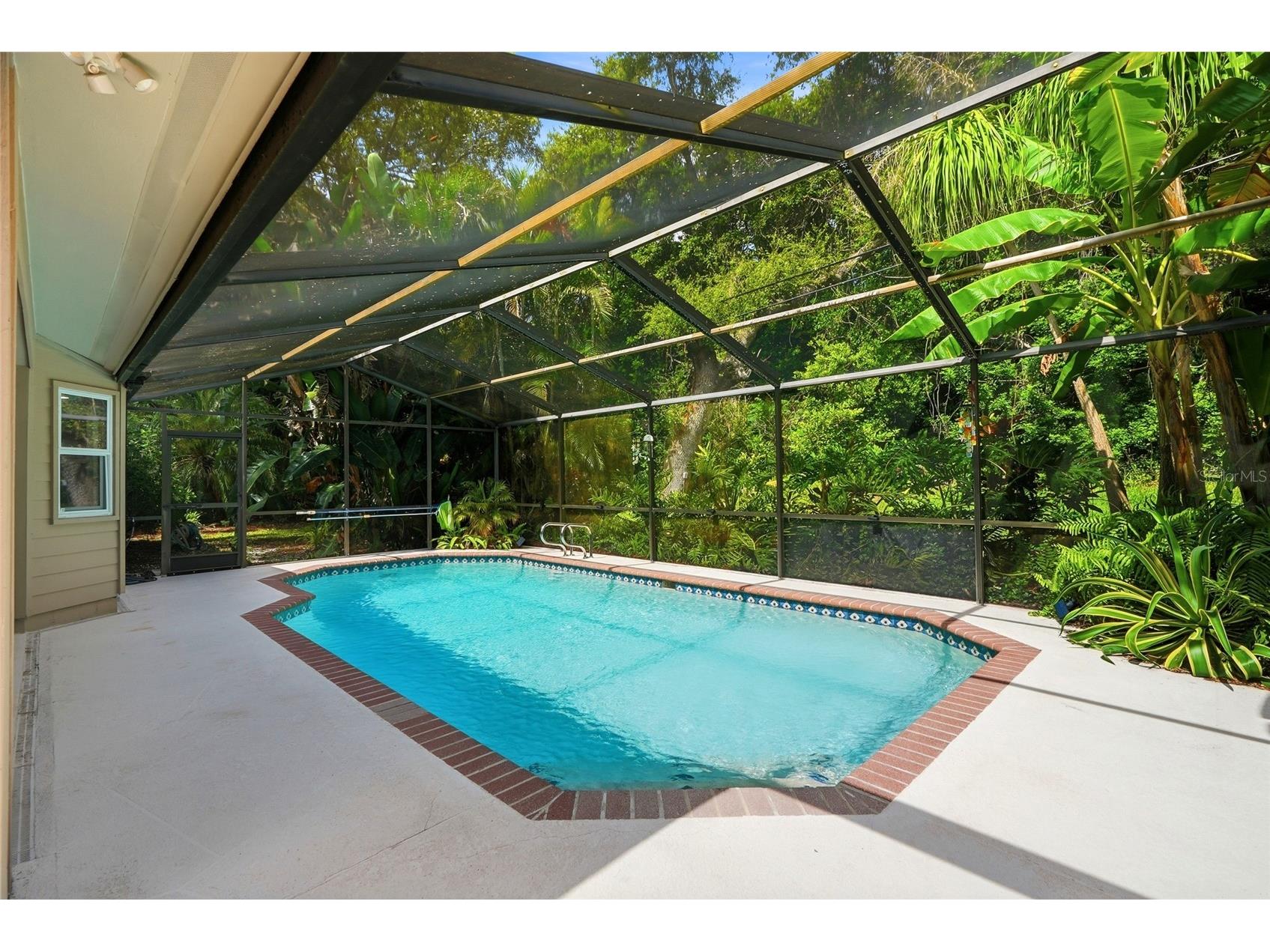 4733 Lake Valencia Boulevard W Palm Harbor FL 34684 TB8525852 image33