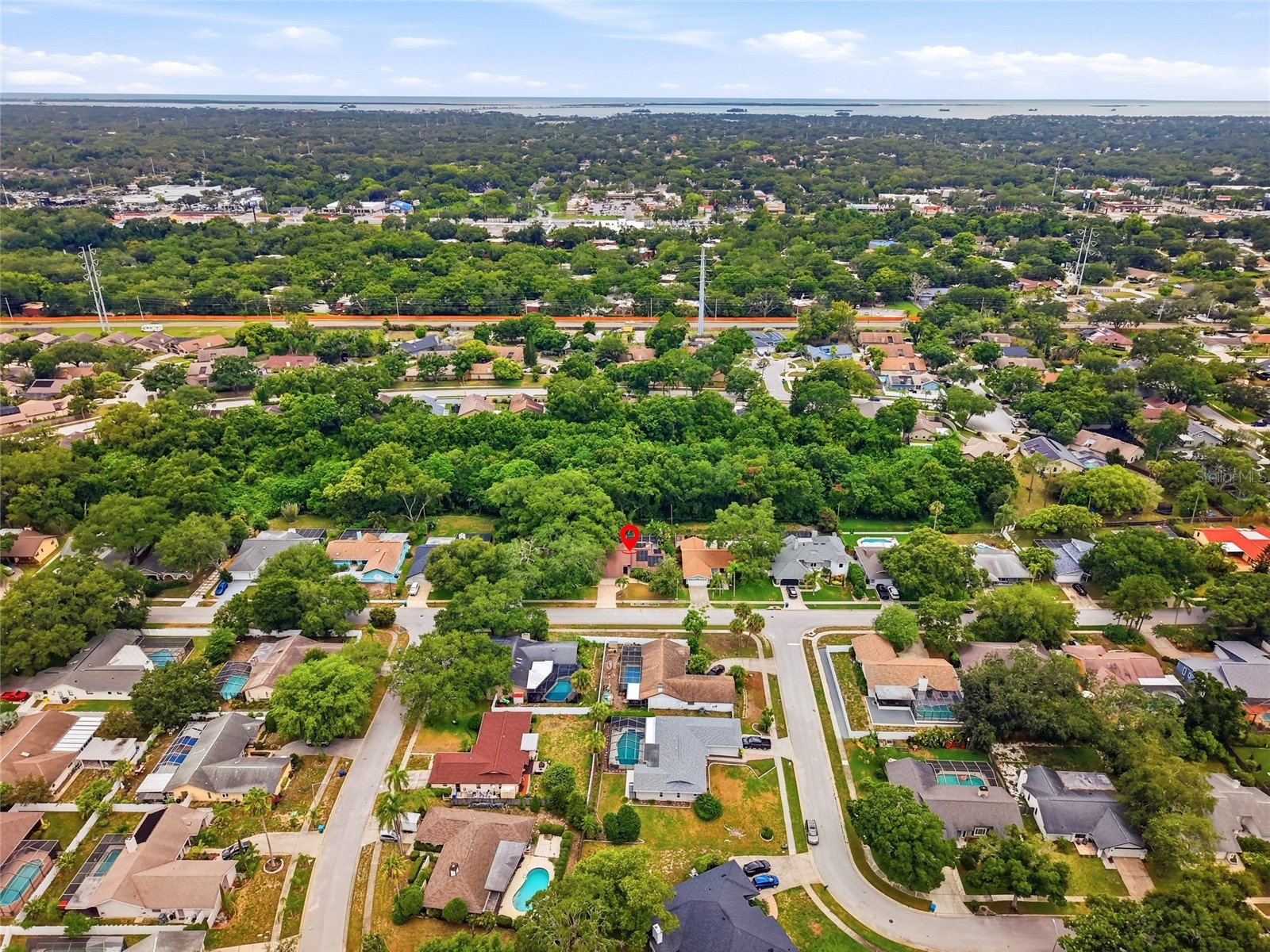 4733 Lake Valencia Boulevard W Palm Harbor FL 34684 TB8525852 image38
