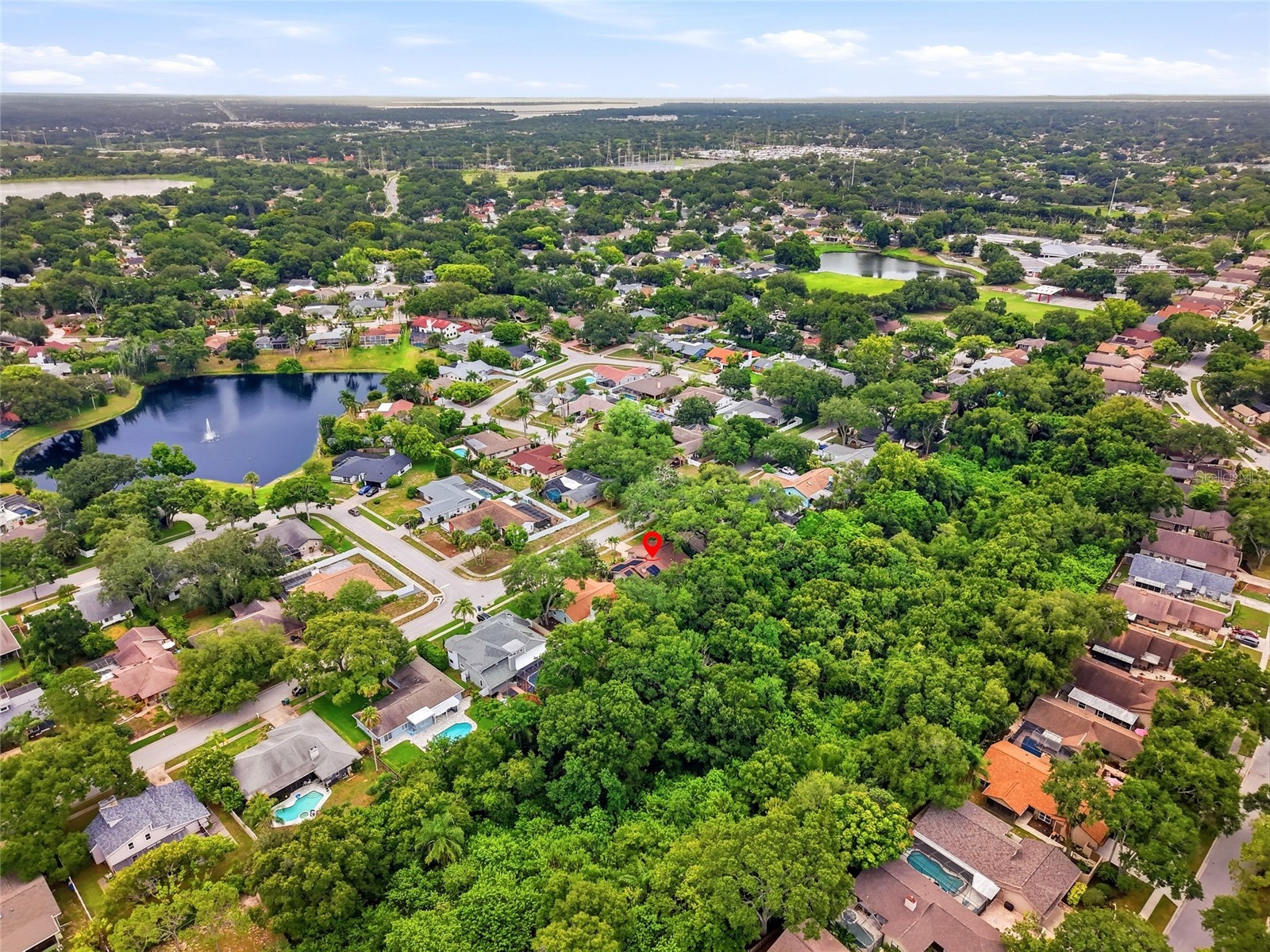 4733 Lake Valencia Boulevard W Palm Harbor FL 34684 TB8525852 image40