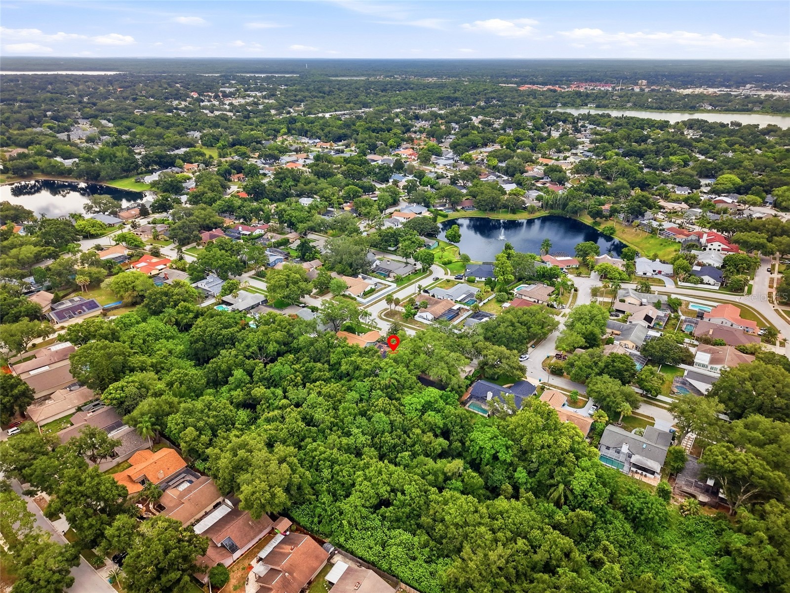 4733 Lake Valencia Boulevard W Palm Harbor FL 34684 TB8525852 image41