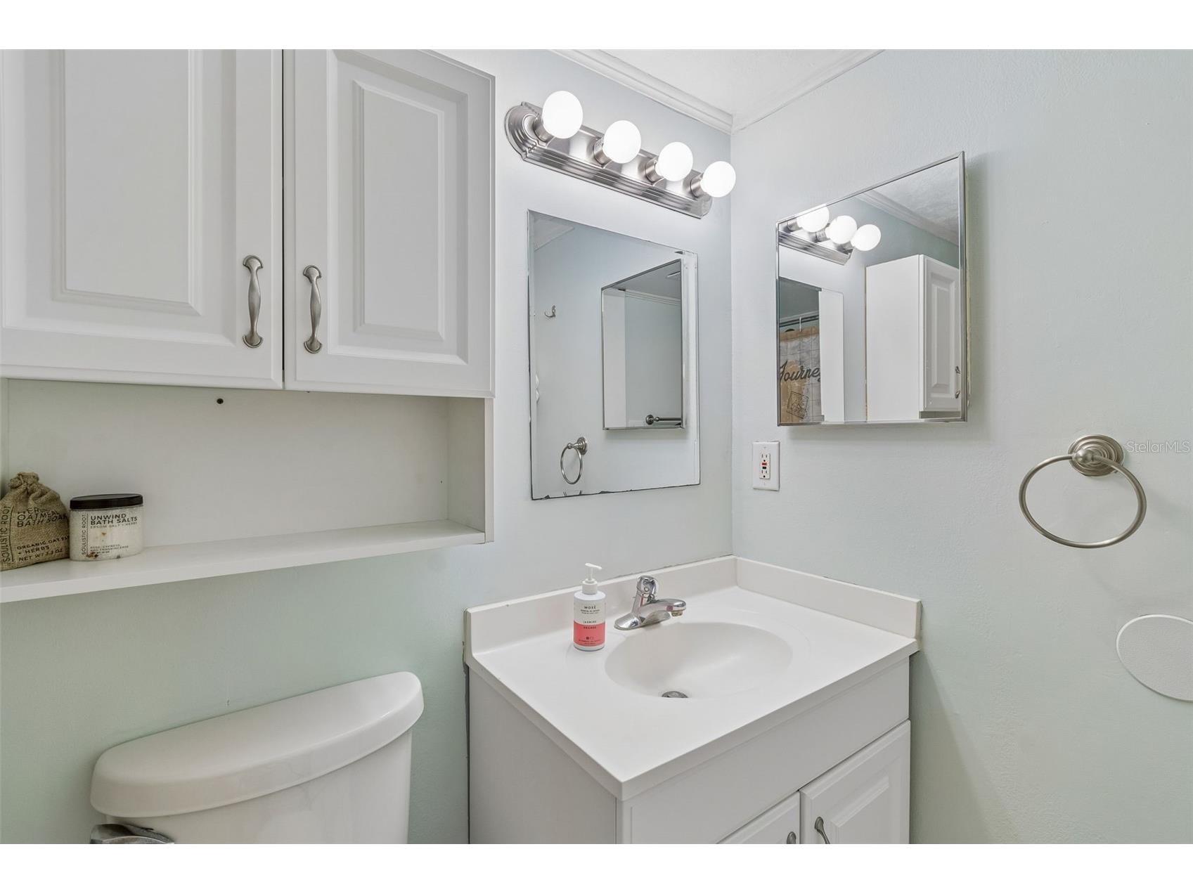 4733 Ridge Point Drive Tampa FL 33624 TB8508834 image35