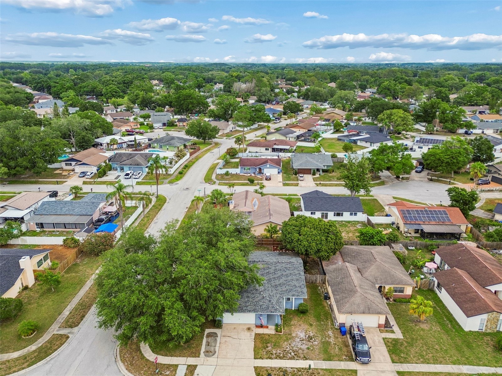 4733 Ridge Point Drive Tampa FL 33624 TB8508834 image44