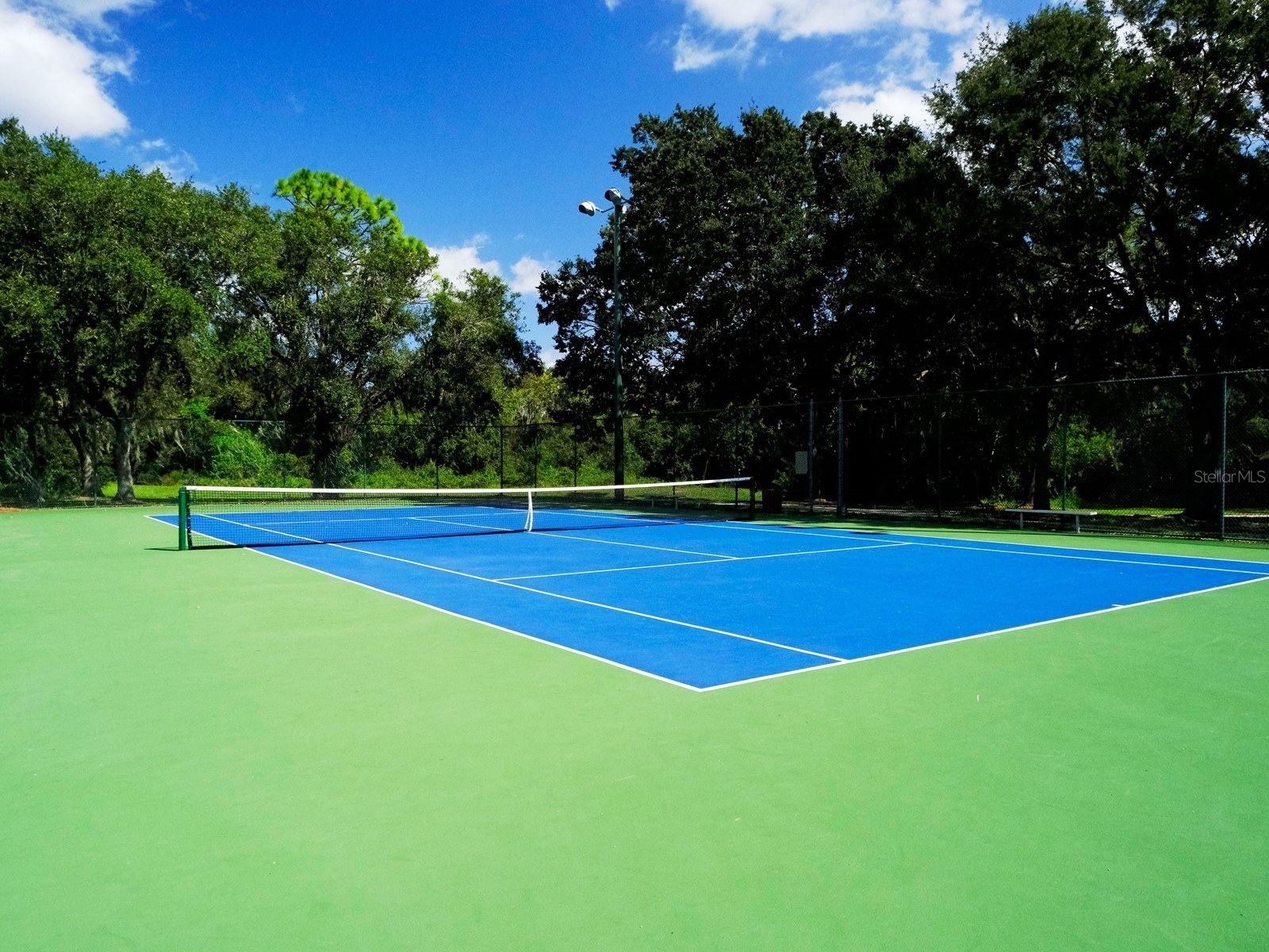4734 Delmonte Avenue Sarasota FL 34235 A4688486 image7