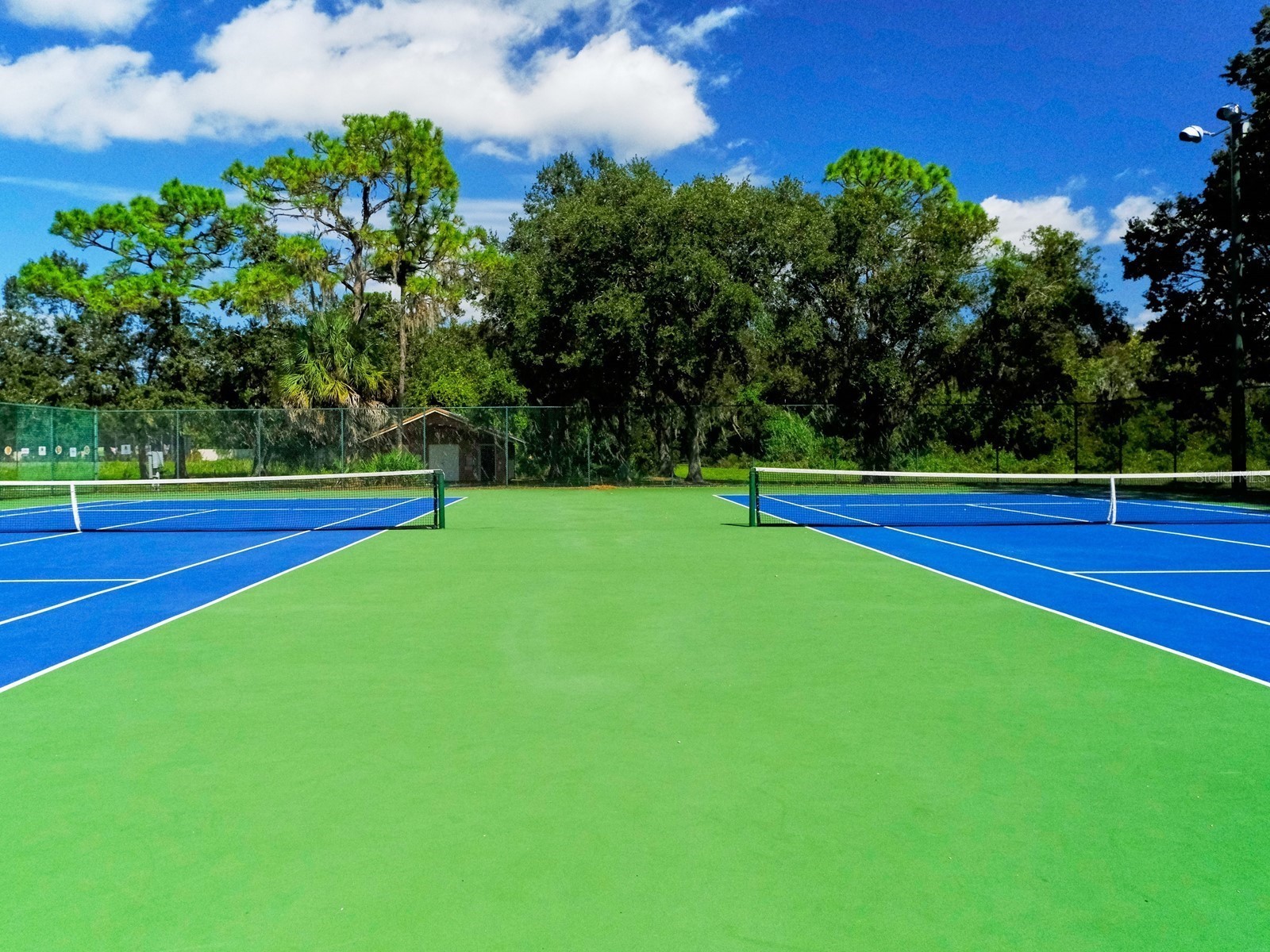 4734 Delmonte Avenue Sarasota FL 34235 A4688486 image8