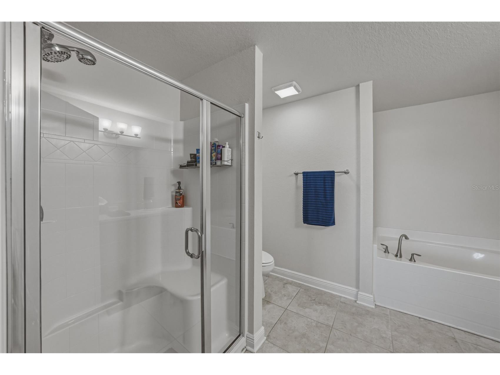 4734 Lathloa Loop Lakeland FL 33811 TB8485358 image46