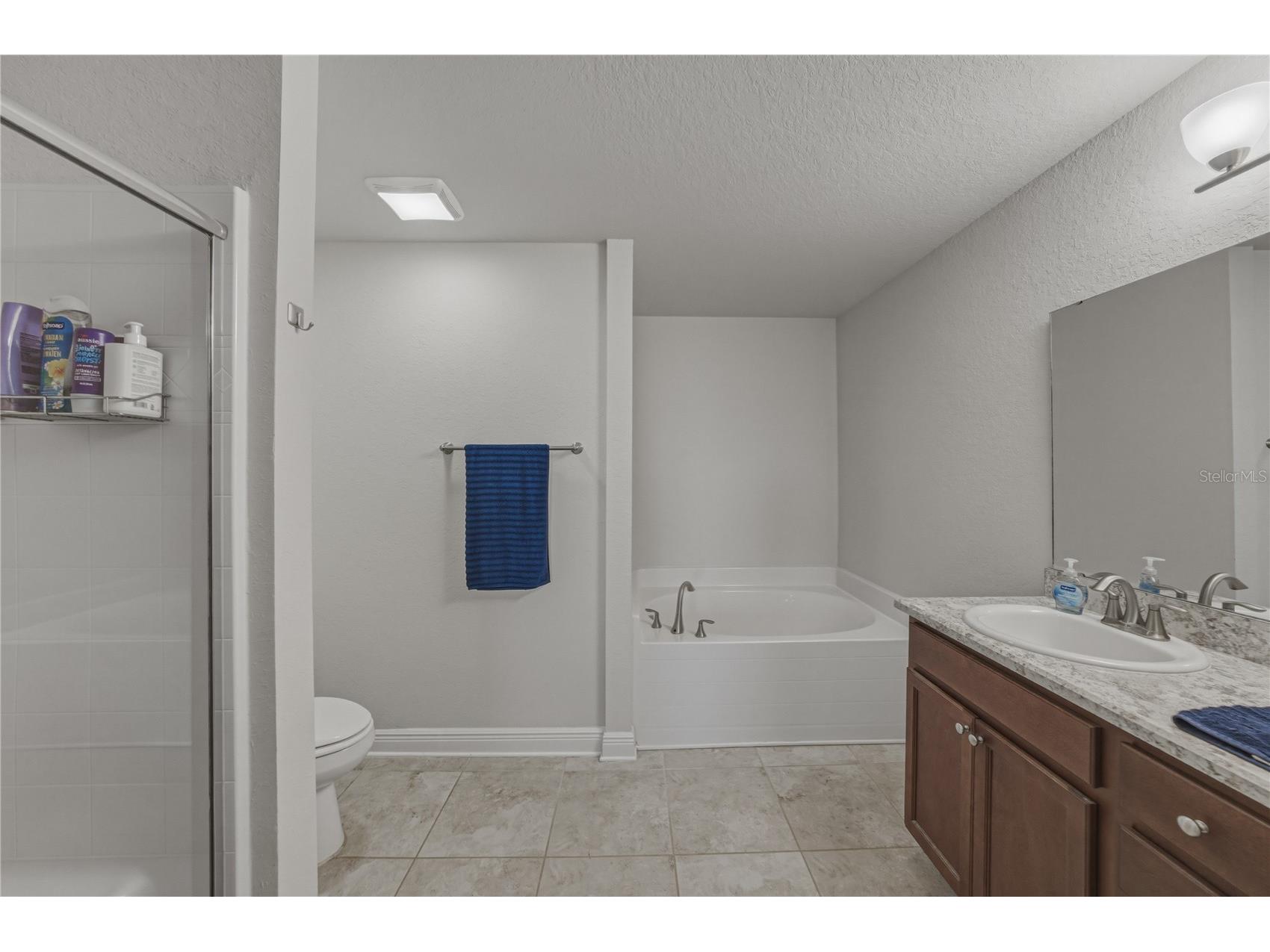 4734 Lathloa Loop Lakeland FL 33811 TB8485358 image48