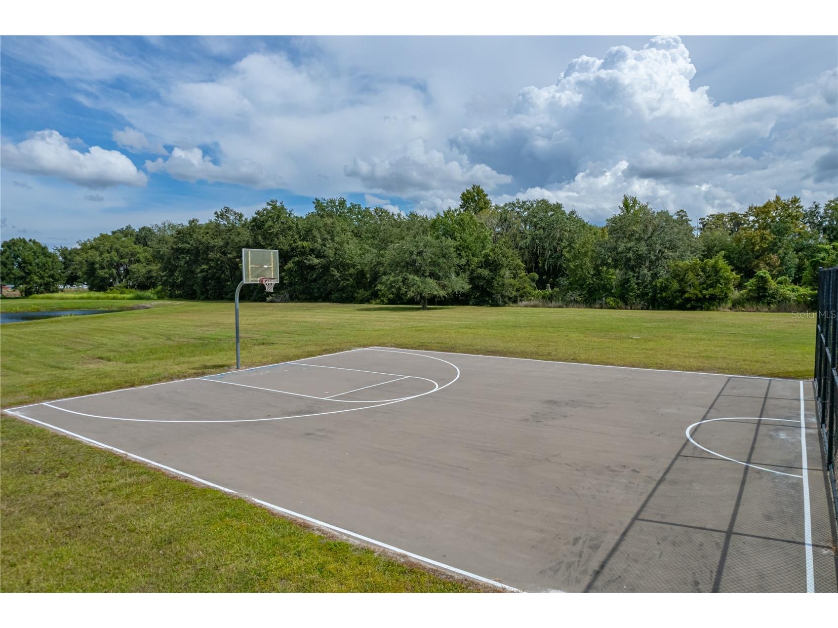 4734 Lathloa Loop Lakeland FL 33811 TB8485358 image83