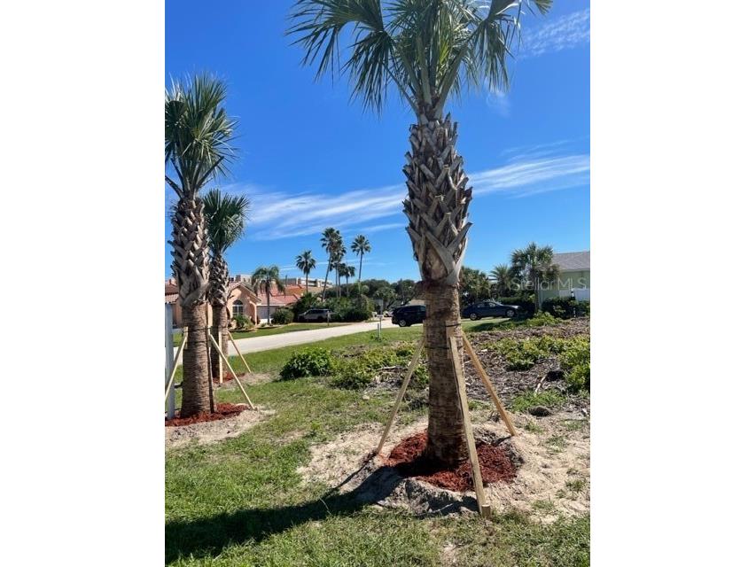 4734 Riverglen Boulevard Ponce Inlet FL 32127 C7467912 image3