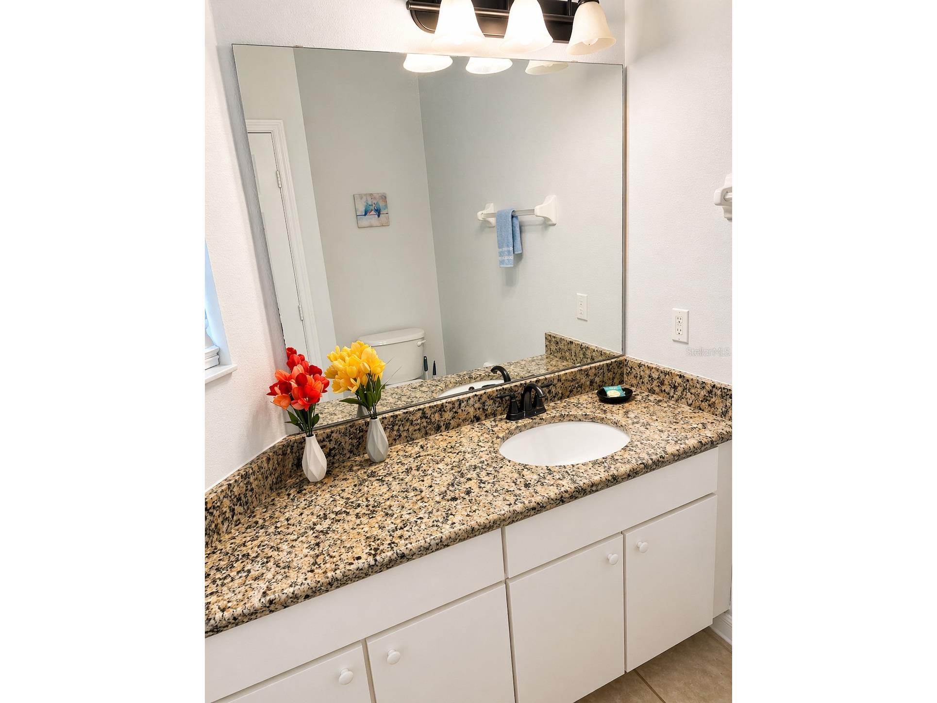 4734 Vero Beach Place Kissimmee FL 34746 S5148613 image4