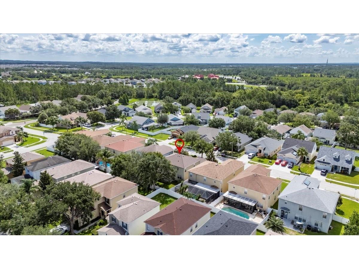 4735 Red Pine Way Wesley Chapel FL 33545 TB8398629 image100