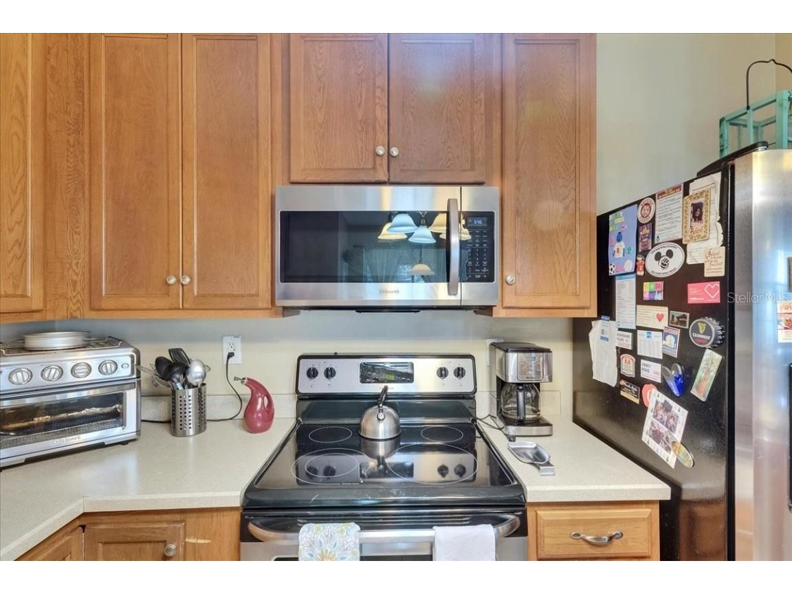 4735 Red Pine Way Wesley Chapel FL 33545 TB8398629 image31