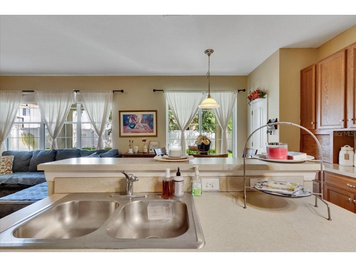 4735 Red Pine Way Wesley Chapel FL 33545 TB8398629 image33