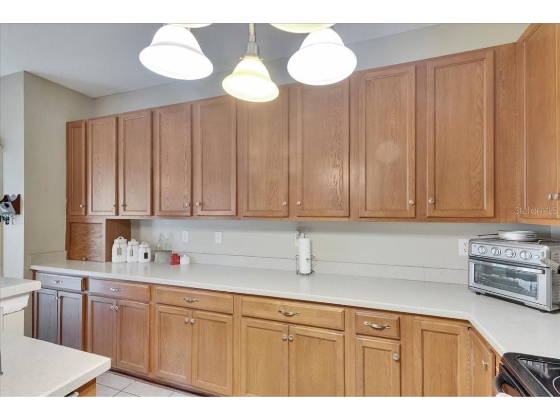 4735 Red Pine Way Wesley Chapel FL 33545 TB8398629 image35