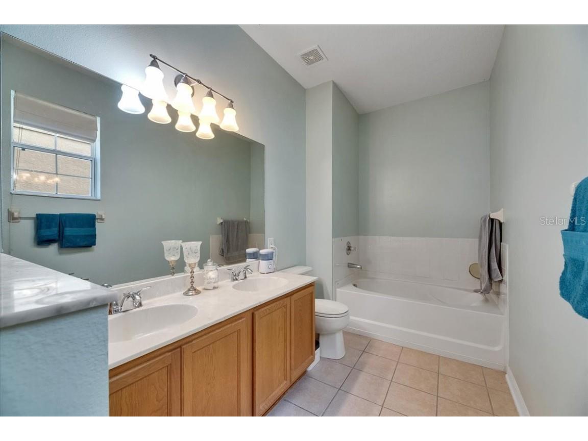 4735 Red Pine Way Wesley Chapel FL 33545 TB8398629 image43