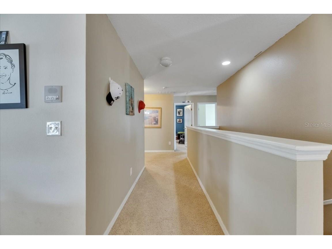 4735 Red Pine Way Wesley Chapel FL 33545 TB8398629 image56